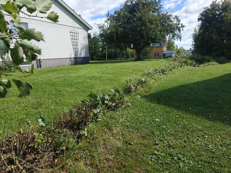Samma tomtgräns efter att häcken tagits ner och gräset klippts