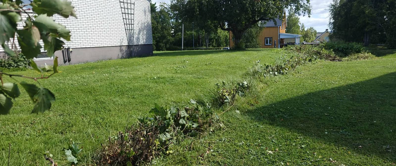 Nyklippt gräsmatta och röjd tomtgräns i Älandsbro